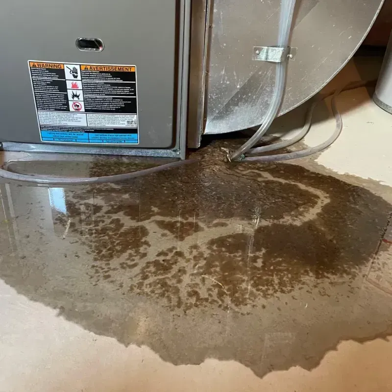 Appliance Leak Cleanup in Bergen Beach, NY